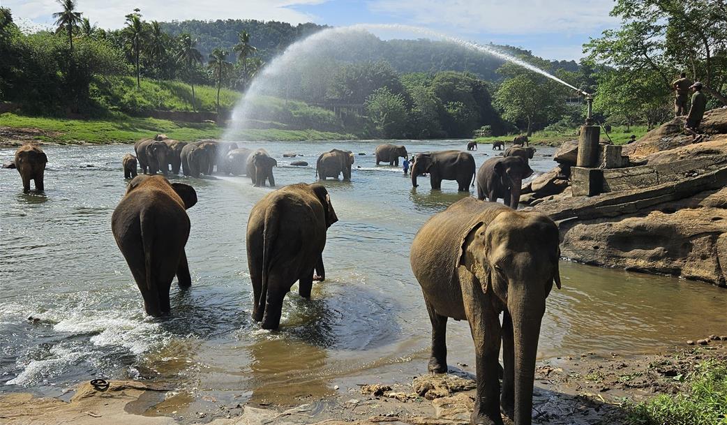 Poklady Srí Lanky luxusně, okruh a pobyt