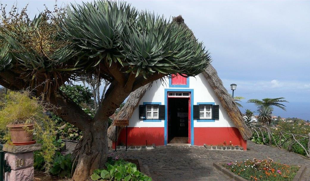   Kouzelná Madeira a slavností vína