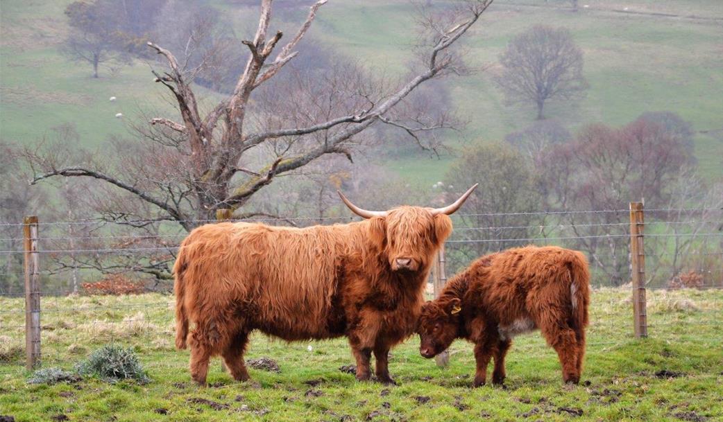 Edinburgh a Skotská vysočina