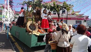 001145_Madeira_slavnosti_vina_3.jpg
