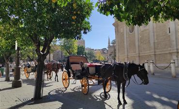 Sevilla, perla Andalusie s výletem do Córdoby_dvoulůžkový pokoj s pristylkou