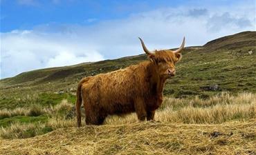 Edinburgh a Skotská vysočina_dvoulůžkový pokoj s pristylkou