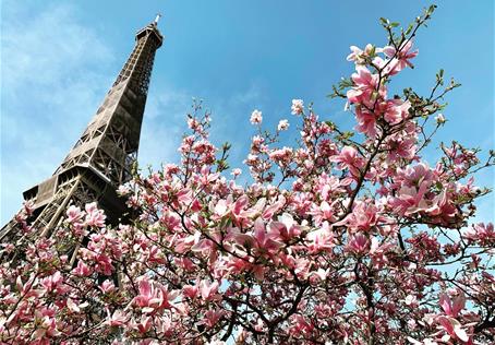 Rozkvetlá Paříž a královské Versailles