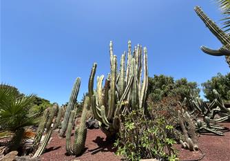 Klenoty Lanzarote a Fueventury letecky z Bratislavy 