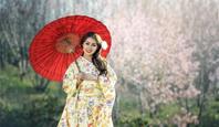 Japonské jaro pod sakurami