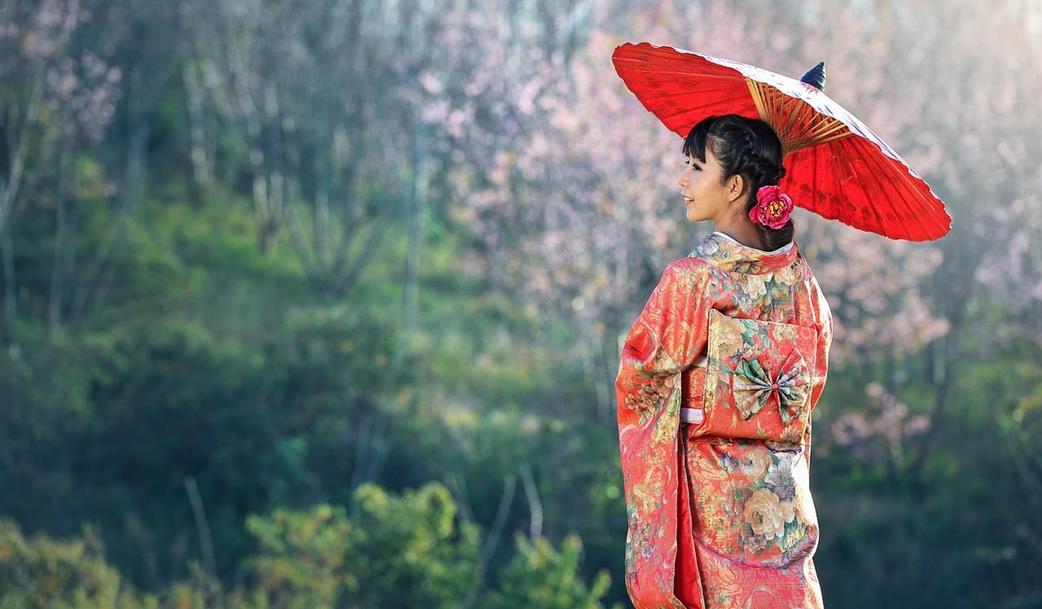 Japonské jaro pod sakurami