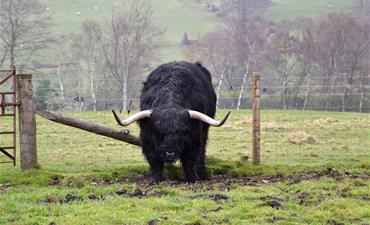 Edinburgh a Skotská vysočina _dvoulůžkový pokoj s pristylkou